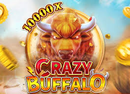 crazy buffalodemo-fachai-fachai free play-ozwin365 baji live casino